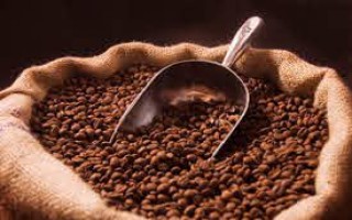 Giá cà phê hôm nay 24/11: Giảm 100-200 đồng/kg, thị trường thế giới diễn biến trái chiều